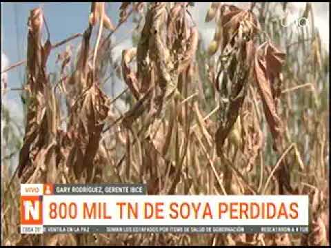 10042024   GARY RODRIGUEZ    SEGUN EL IBCE EL AGRO PIERDE 300 MILLONES DE DOLARES POR LA SEQUIA   UN