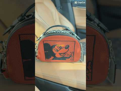 CoachxDisneyLimitededition