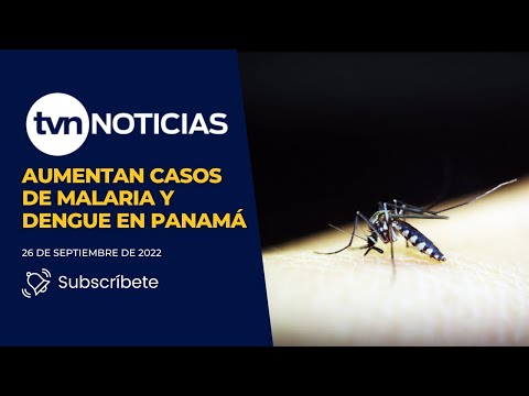 Aumentan casos de Malaria y Dengue en Panamá