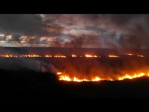 Impactante vídeo de fuego forestal en Vega Baja