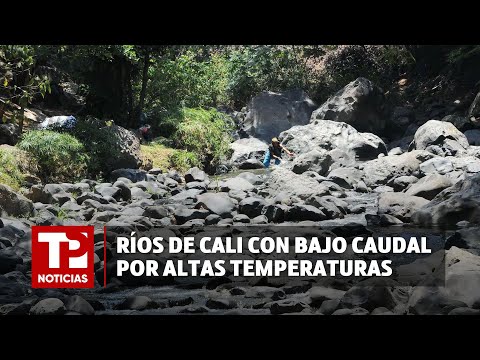 Ríos de Cali con bajo caudal por altas temperaturas|13.03.2024| TP Noticias