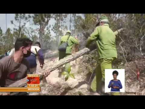 Cuba: Sofocan incendio en áreas de bosques en Pinar del Río