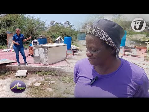 Recovering from Hurricane Beryl | TVJ