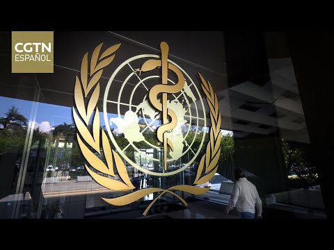 La OMS insta a países a fortalecer sistema de vigilancia ante aumento de enfermedades respiratorias