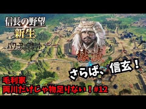 【信長の野望・新生PK】毛利家：両川だけじゃ物足りない！#12【ゆっくり実況】