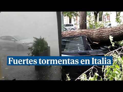 Árboles y señales arrancados de cuajo: Fuertes tormentas golpean Italia