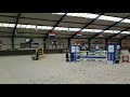 Show jumping horse Opvallend springpaard Houdini te koop