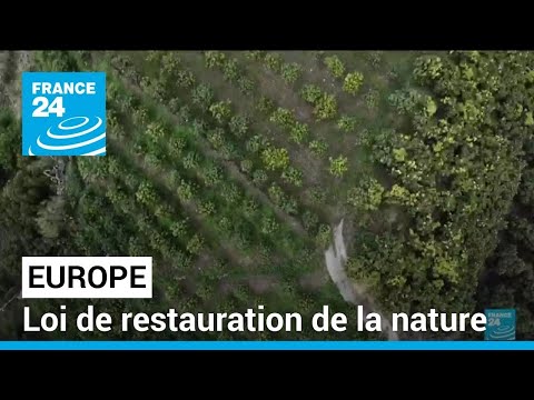 Loi de restauration de la nature : un texte clé du Pacte vert de l'UE • FRANCE 24