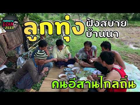 ลูกทุ่ง-บ้านนาฟังสบาย-เอาใจคนไ ลูกทุ่ง-บ้านนาฟังสบาย-เอาใจคนไ