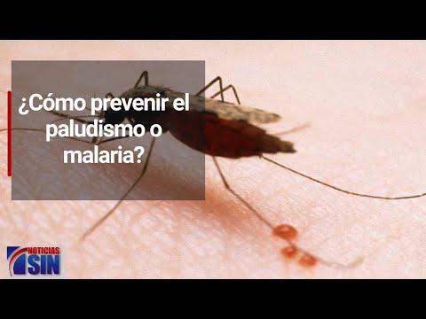 ¿Cómo prevenir el paludismo o malaria?