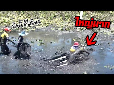 ไล่จับ-กันให้วุ่น-ไม่คิดว่าจะเ ไล่จับ-กันให้วุ่น-ไม่คิดว่าจะเ