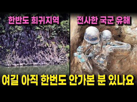 용암 위에 생긴 신비한 도시 | 남한 도시 전체가 북한군이었다가 폭격으로 폐허가 된 비극의 도시 | 한반도에 유일하게 지평선을 볼 수 있는 지역 (철원 당일치기 여행)