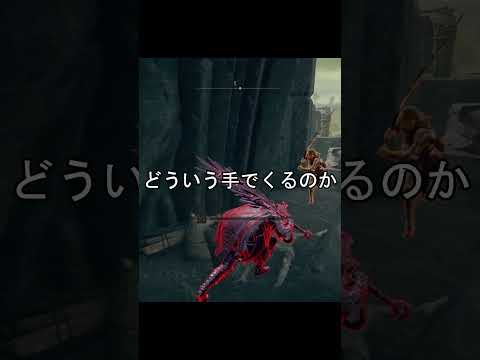 エルデンリング 地獄の侵入　日本人出待ちが崖際にチャレンジした結果！  ELDEN RINGDLC #elden #eldenringdlc #ダクソ3