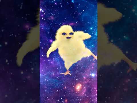 Bala Bala Shaitan #trending #funny #cartton #cute #cat #comedy