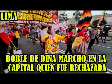 MANIFESTANTES RECHAZARON DOBLE DE DINA QUIEN ACOMPAÑO LA MARCHA..