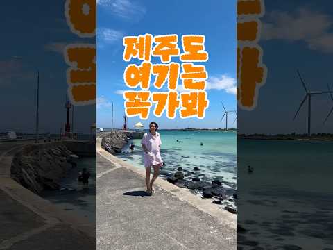 판포포구 말고 월령포구 가세요! 제주도 다이빙 스팟 알려드릴게요 #제주도실시간 #제주포구 #판포포구 #월령포구 #제주도