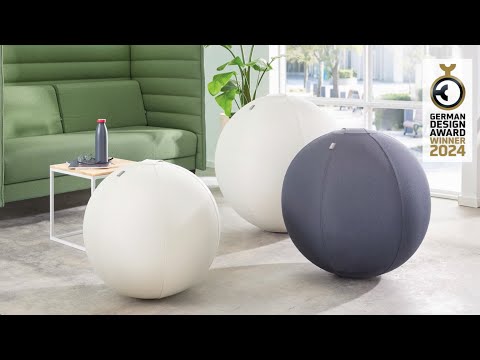 Ballon d'assise lesté Leitz Ergo Active - Vidéo produit (FR)