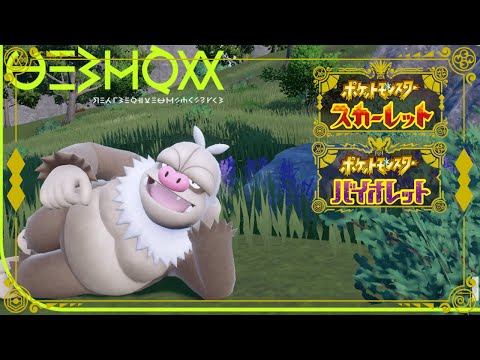 【ポケモンSV】ゾロアーク&ケッキングの最強幻影構築でランク爆上げ配信！【今期始動】