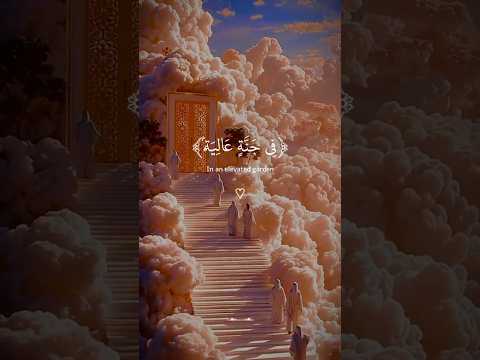 💗صلو على النبي💗