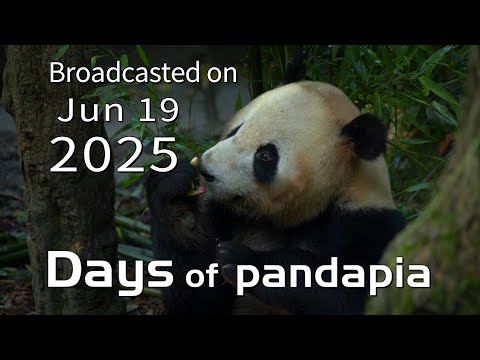 20250619 Broadcast Top Highlights 04