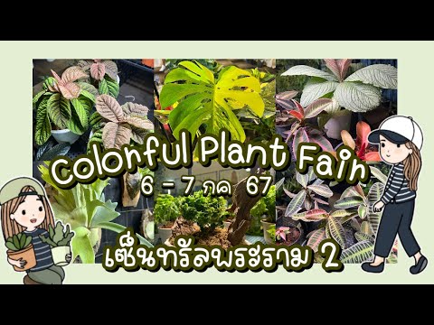 ColorfulFoliageFairThailand