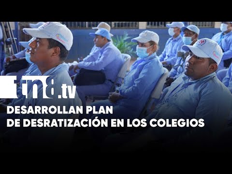 Desarrollan el plan nacional de desratización en los colegios de Nicaragua
