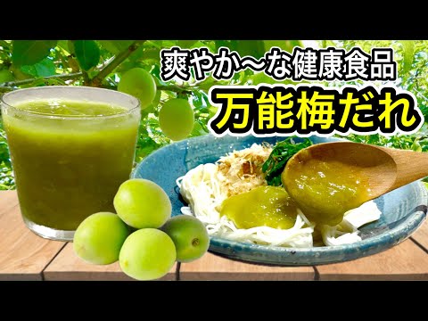 梅を加熱すると驚きの効果!【材料2つ】夏の元気に「万能梅だれ」と簡単アレンジレシピ