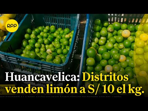 HUANCAVELICA: Reservas de agua para riego permiten vender a precios cómodos verduras como el limón