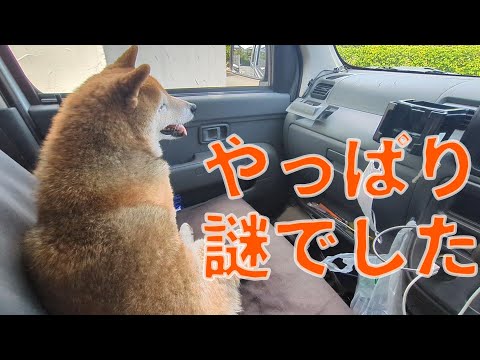 ホタルは幻？調査映像で見る謎の光景 サムネイル