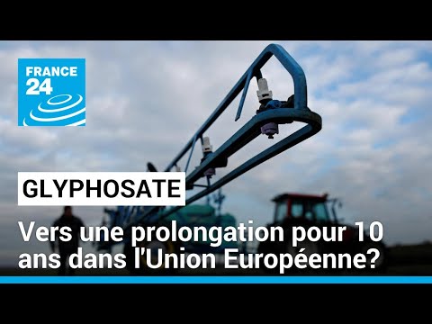 Glyphosate: vers une prolongation pour 10 ans dans l'Union Européenne? • FRANCE 24