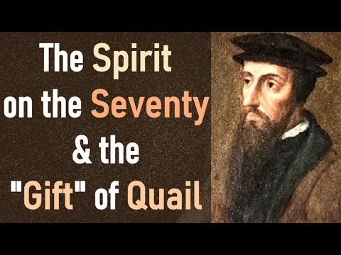 Harmony of the Law, Vol. 4: The Spirit on the Seventy & the 