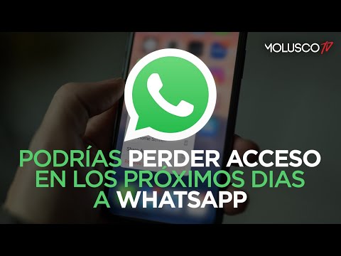 Podrias perder acceso en los próximos dias a Whatsapp