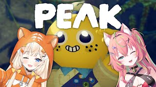Two catgirls meowing🧡 w.@MiaMelonya   [PEAK]