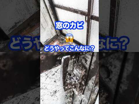 窓掃除はまかせて　助けて！ #お掃除職人