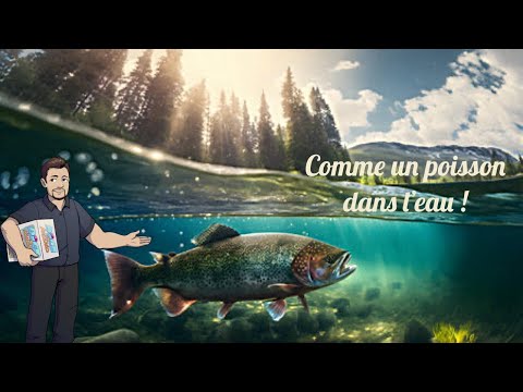 Happy Salmon, rivière de fun !