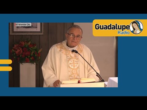 ¿Qué nos dice hoy la palabra de Dios?