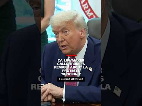 CA lawmaker calls Trump's remark about LA protests 'shocking'