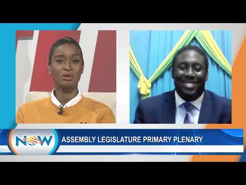 Assembly Legislature Primary Plenty