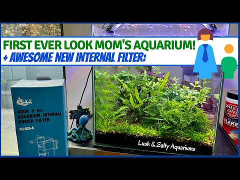 First look planted aquarium and new internal filte Set this nano cube planted aquarium up for my mother a while back but never filmed it until now! Ref