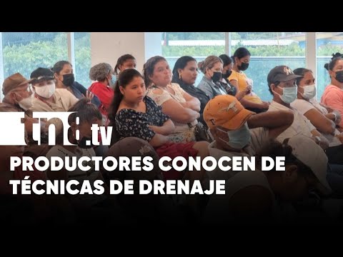 Ante el copioso invierno, comparten técnicas a productores en Nicaragua