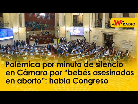 Polémica por minuto de silencio en Cámara por “bebés asesinados en aborto”: habla Congreso