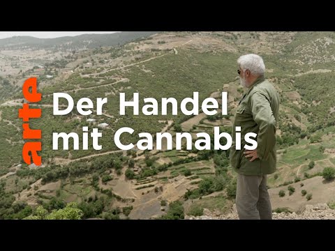 Marokko: Der König erlaubt Cannabis | ARTE Reportage