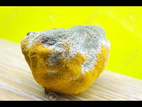 True Ending - Sour Lemon