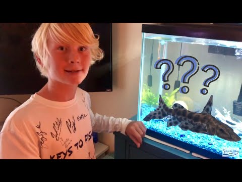 Epic mystery catfish revealed video thumbnail