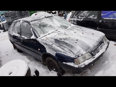 Citroen Zx 1995 m dalys