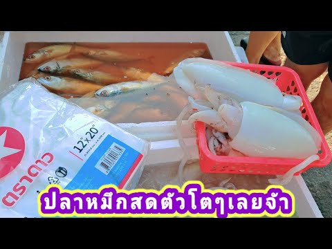 อาหารทะเลสดๆมาใหม่ๆตลาดเขียวชุ