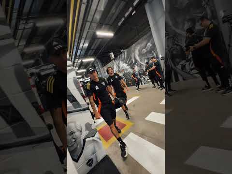 image para ilustrar o artigo