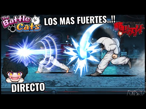 猫の動画サムネイル - PELEA FINAL VS BAKI, JACK Y RETSU - DIRECTO