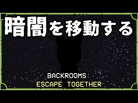 真っ暗すぎて見方も敵も解らない部屋#6【BACKROOMS: ESCAPE TOGETHER】