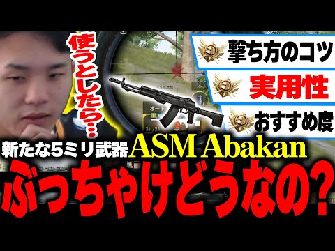 【新武器登場】新たな5ミリ武器ASM Abakanぶっちゃけどうなん??w【PUBGモバイル】